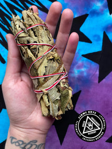 Botanical Bundle | Yerba Santa 5-6 inch